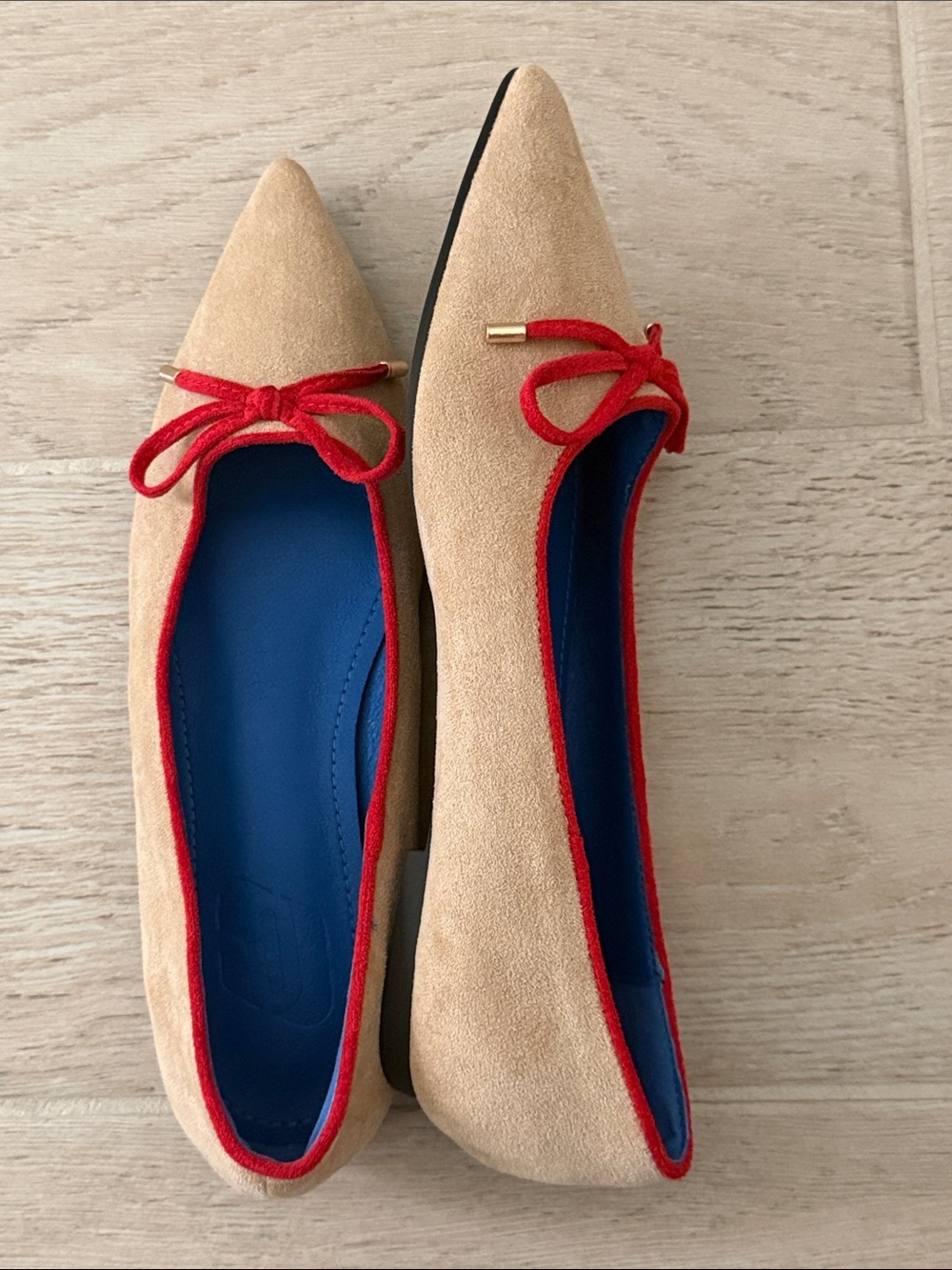Suede Pointed Ballet Flats with Red Trim